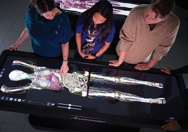 students around the anatomage table