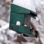 green snowy bird house with bird sitting on it