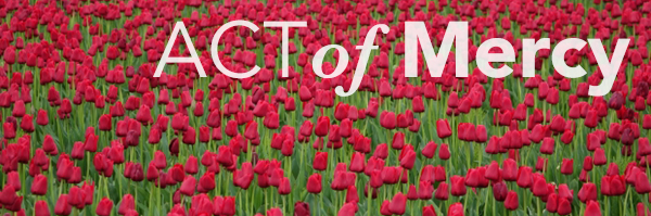 red tulips - Act of Mercy
