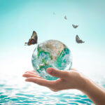 butterfly landing on the earth held in a female hand