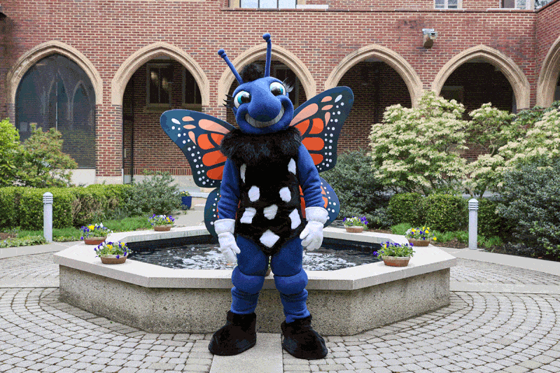 Maria College - Albany, NY - Preparing Students for Service Since 1958 Maria College - Albany, NY - Preparing Students for Service Since 1958