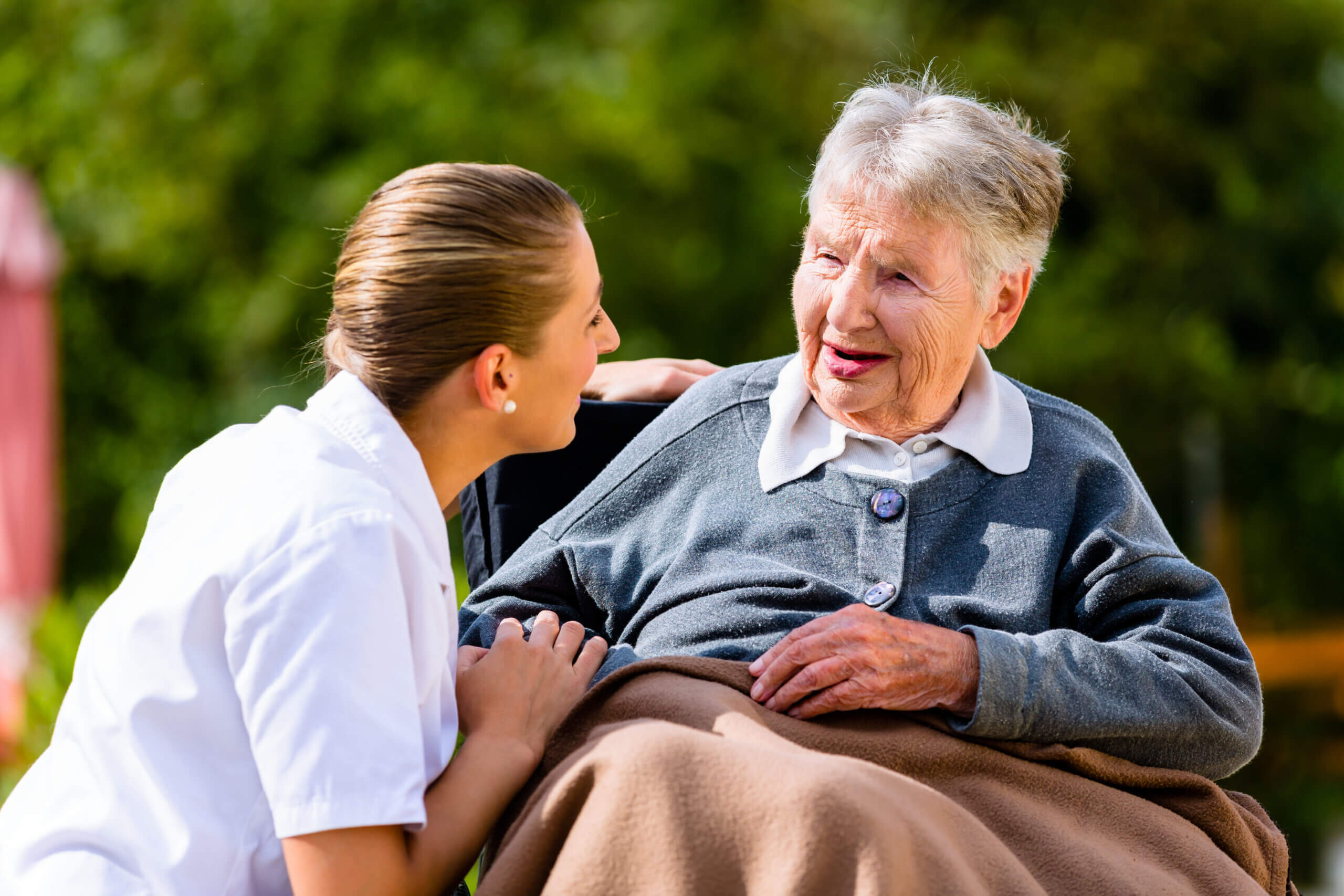 nursing programs